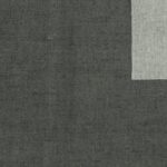 CAROLA020-02