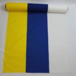 BANDCANARIAPA0800000